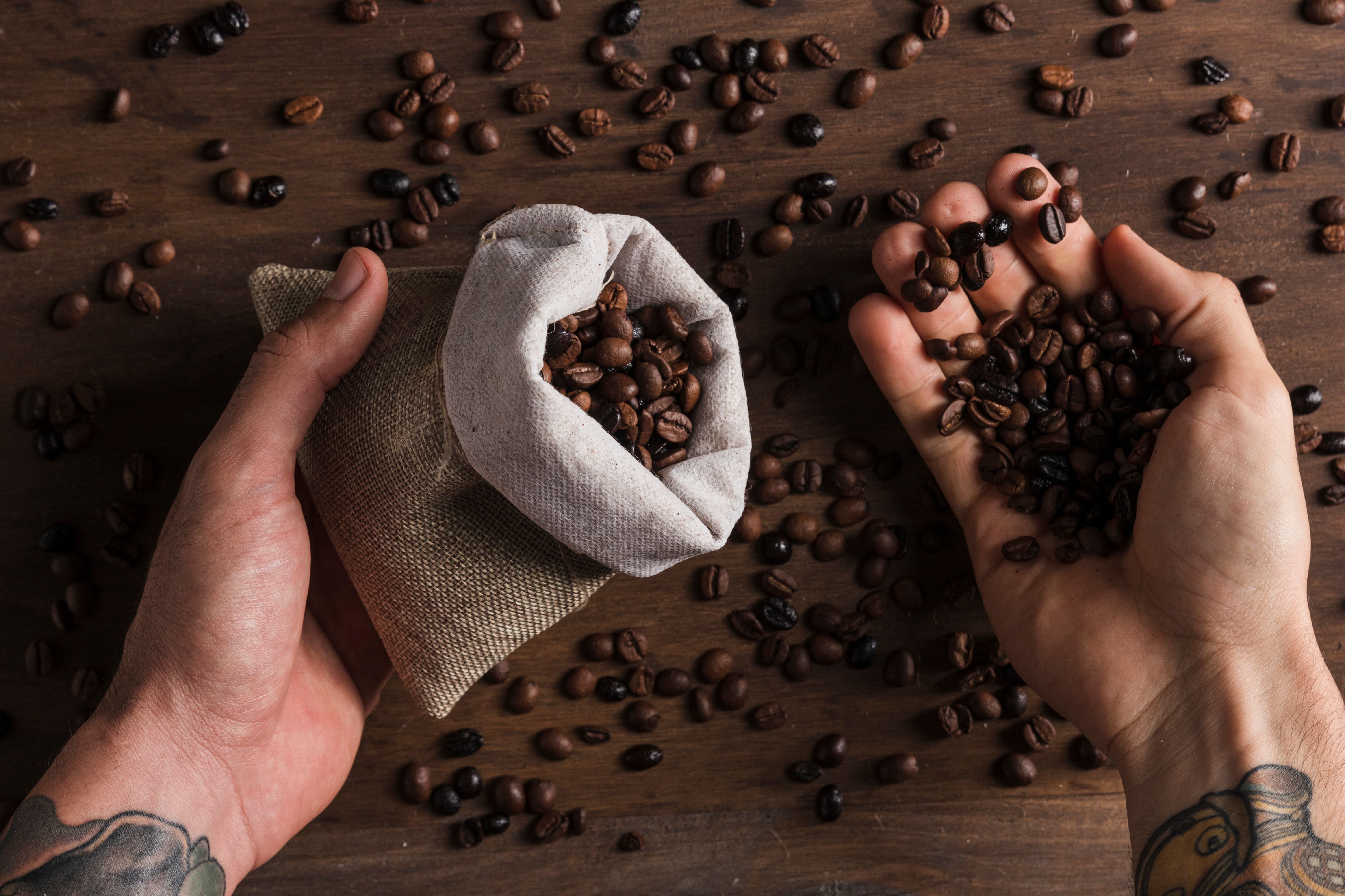 Exporta tu café y cacao con Go Global