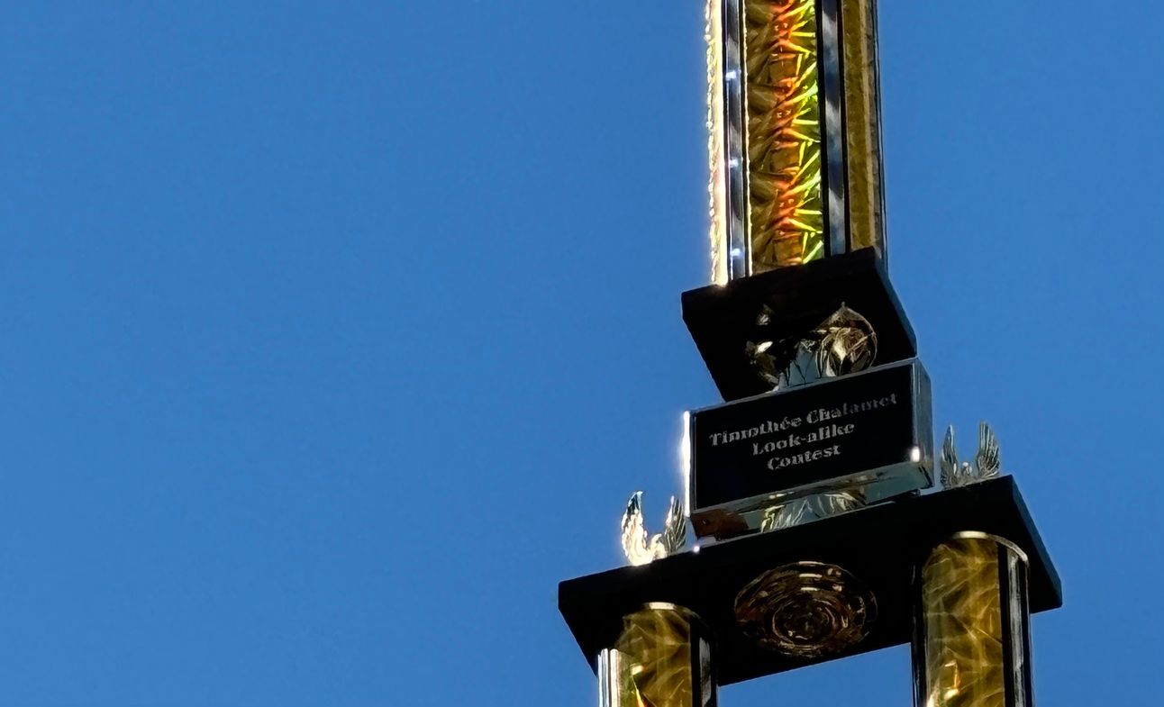 Celeb look-alikes, campus crushes, capitalism, and copying community 