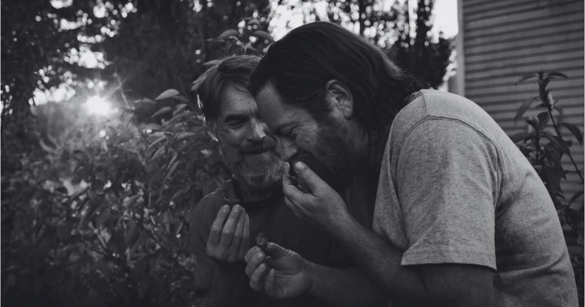 The Quiet Revolution of The Last of Us’ “Long, Long Time”