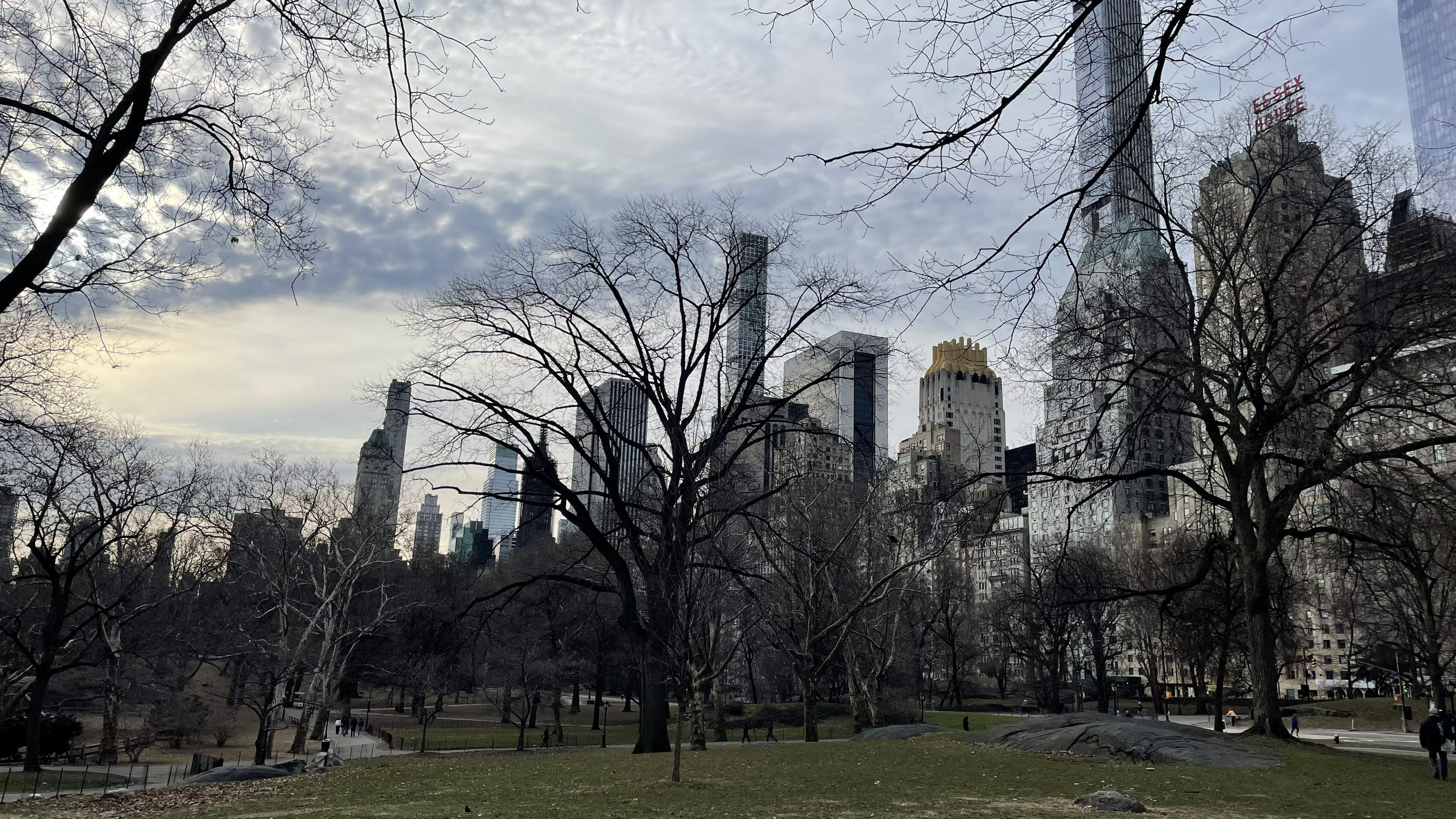 New York City brings the joy!