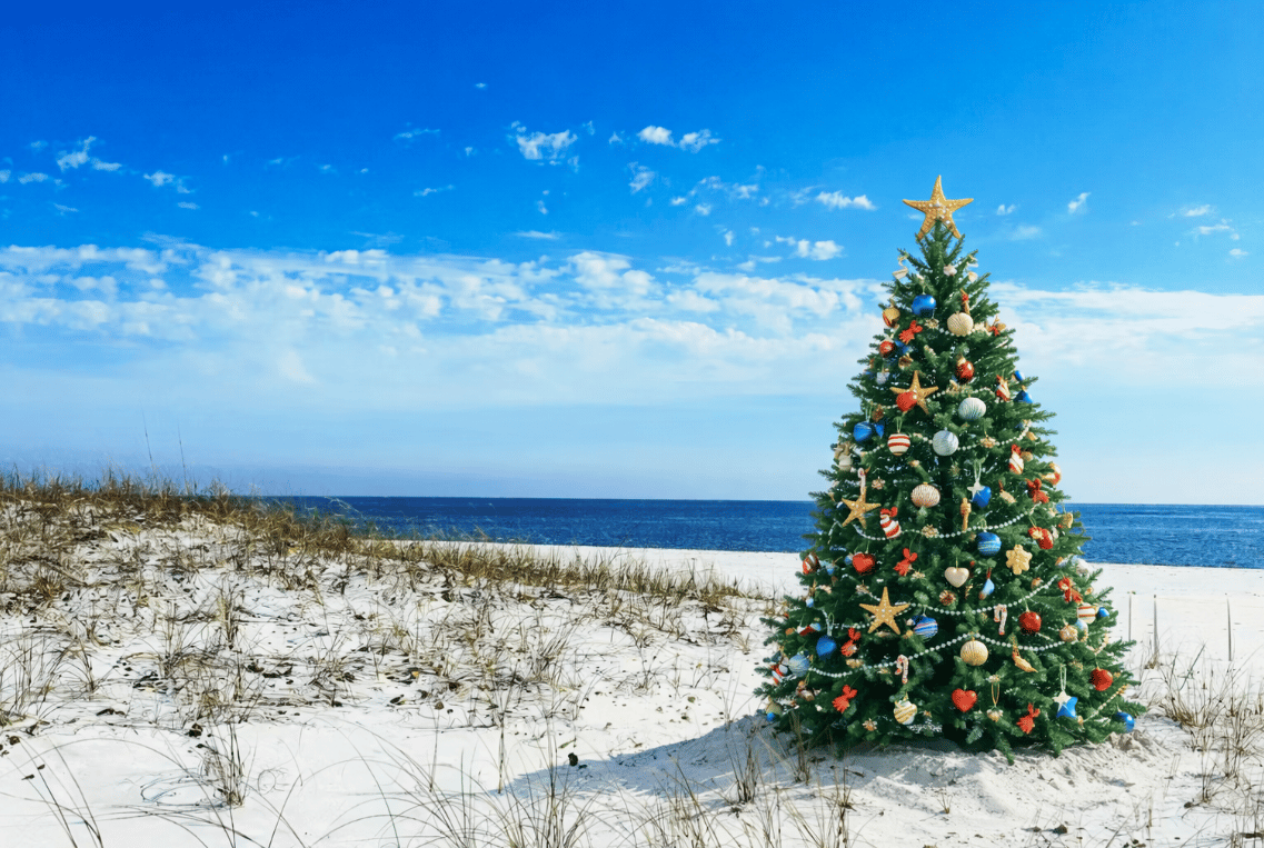 Local Events, The New Year, and TSA Pre