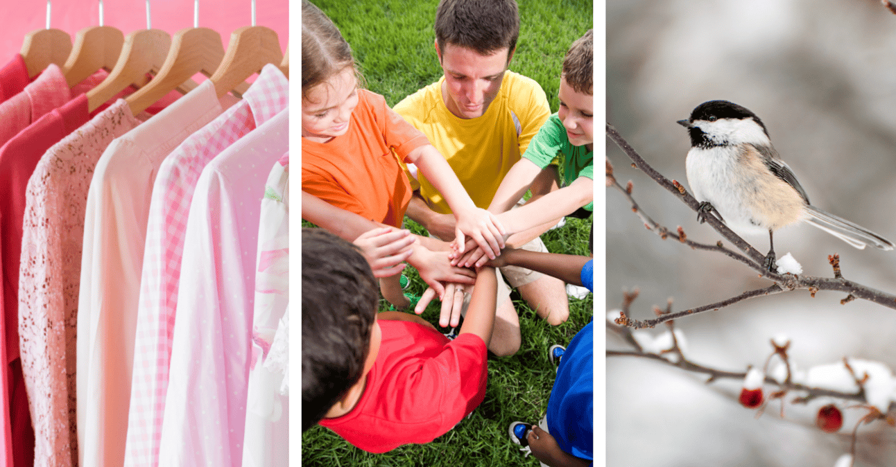 Birds, boats, and big markets: What’s up in the Fraser Valley