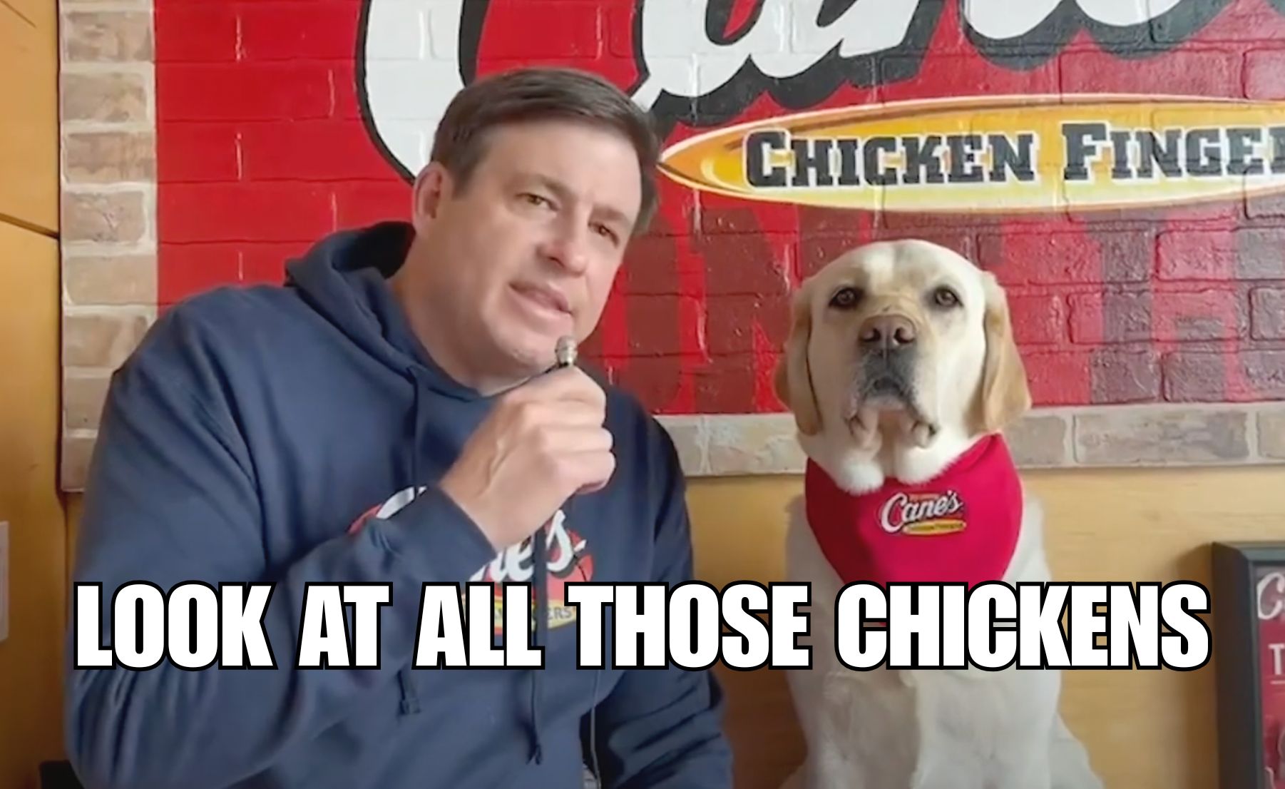 Cash Flow Fundamentals. Why AI Flops (Sometimes). Lessons in Obsession.