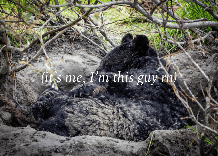 Artistic hibernation