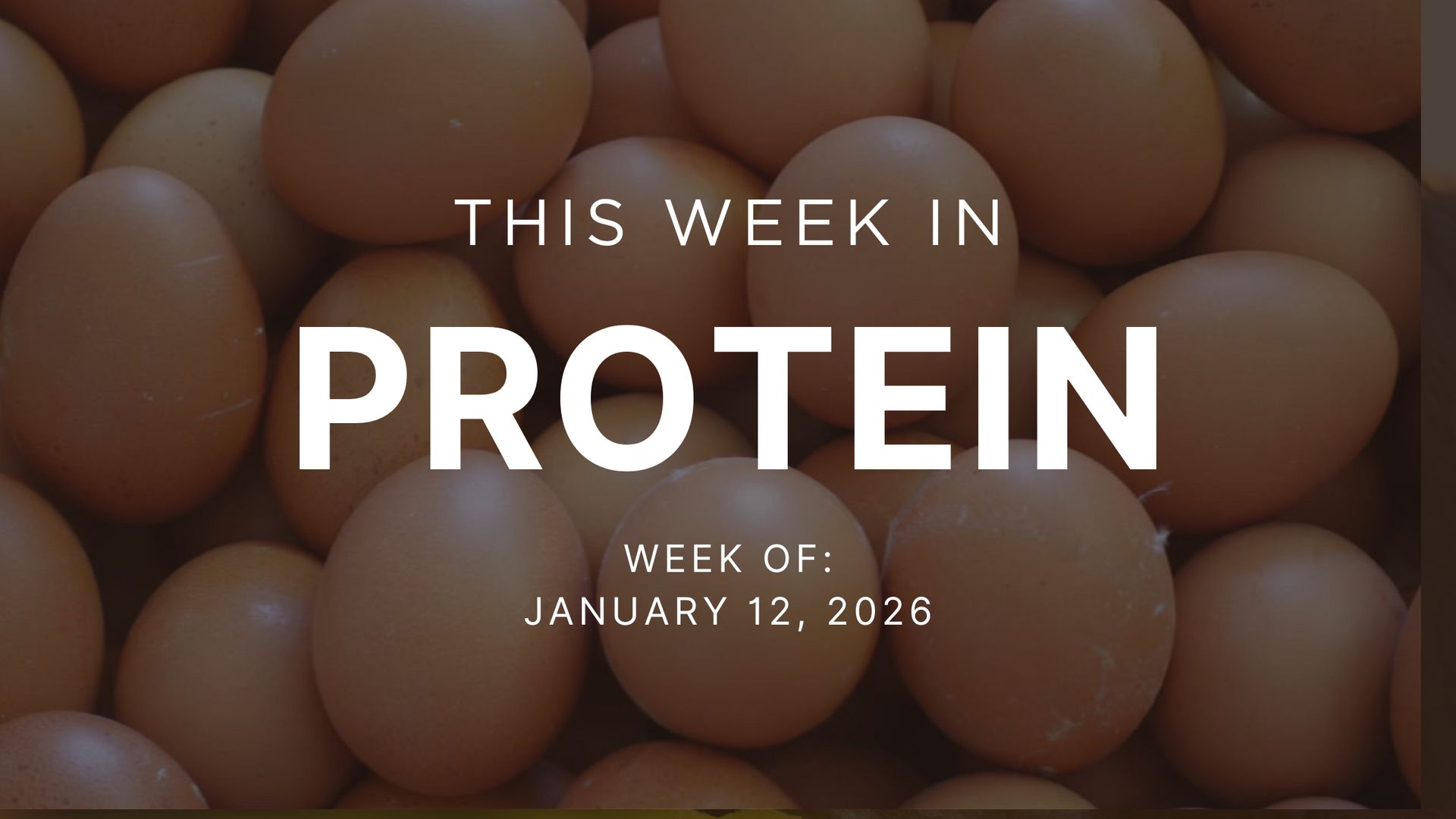 Adventuring through the Canadian Rockies