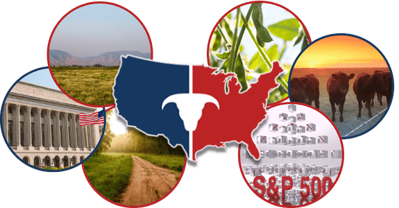 CATTLEUSA DRIVE - Monday, March 2nd