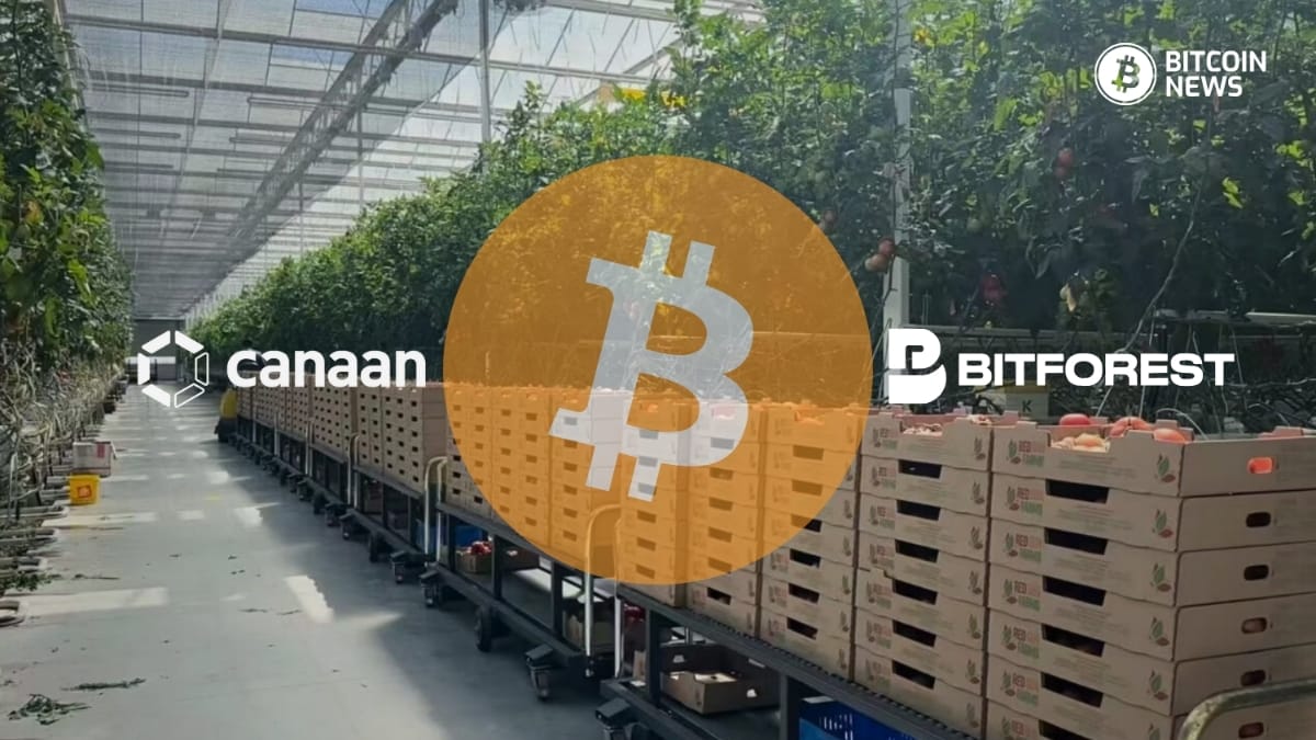 Adventuring through the Canadian Rockies