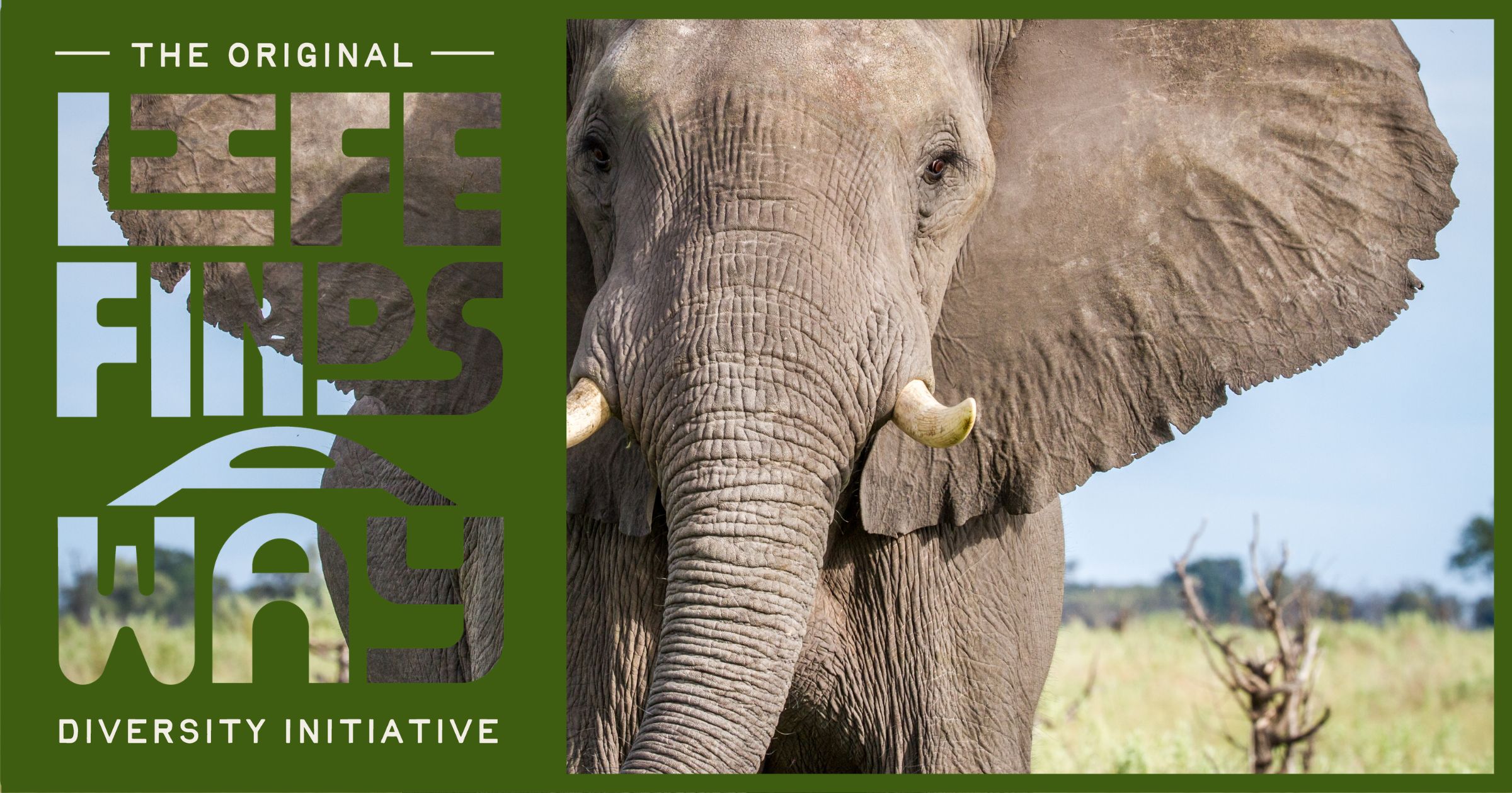 The medicine hiding in other species