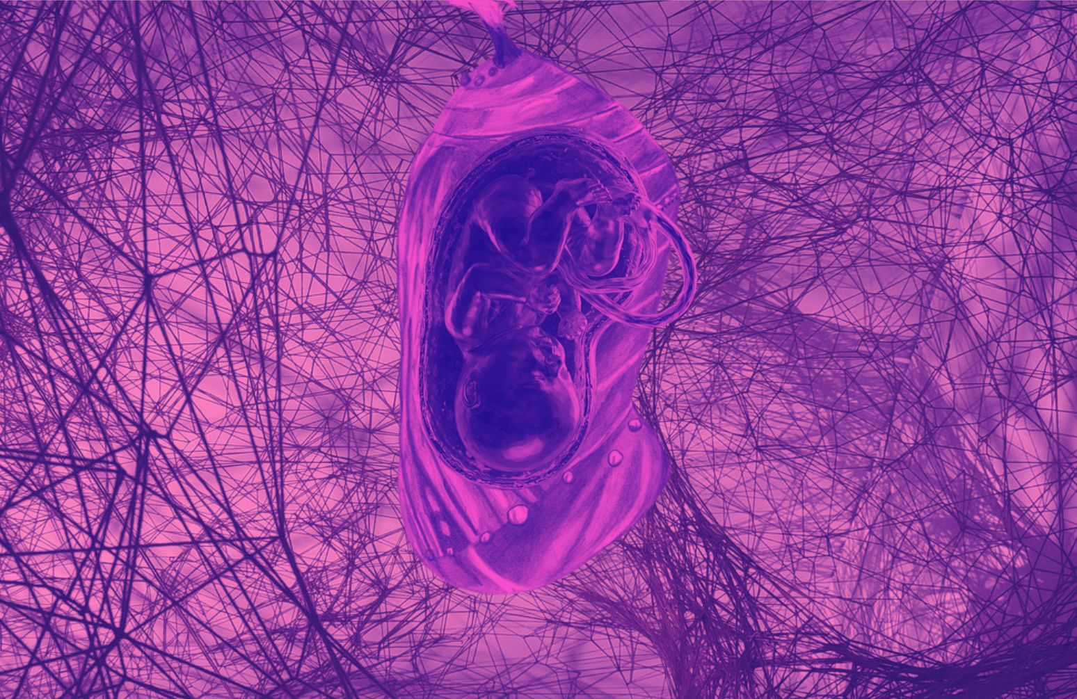 Escuche, Encuentre, Suene: una invitación hacia tantas otras escalas