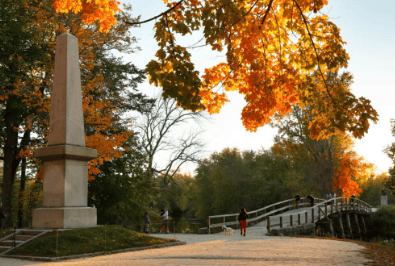 The First Small Thing