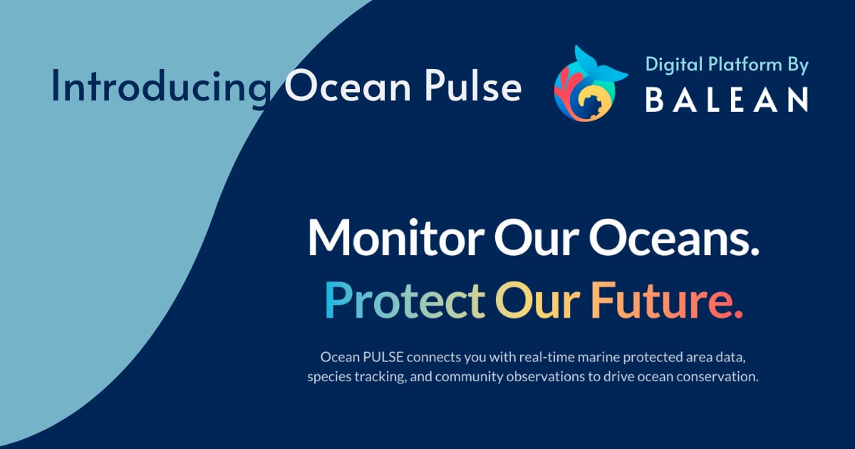 What If Checking Ocean Health Was as Easy as Checking the Weather?