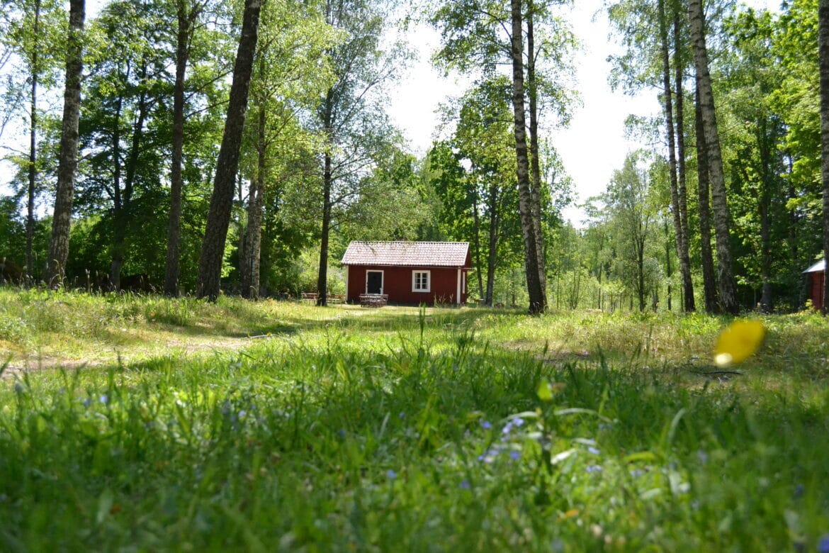 The Old Country Newsletter – "Avgå Danskjävel"