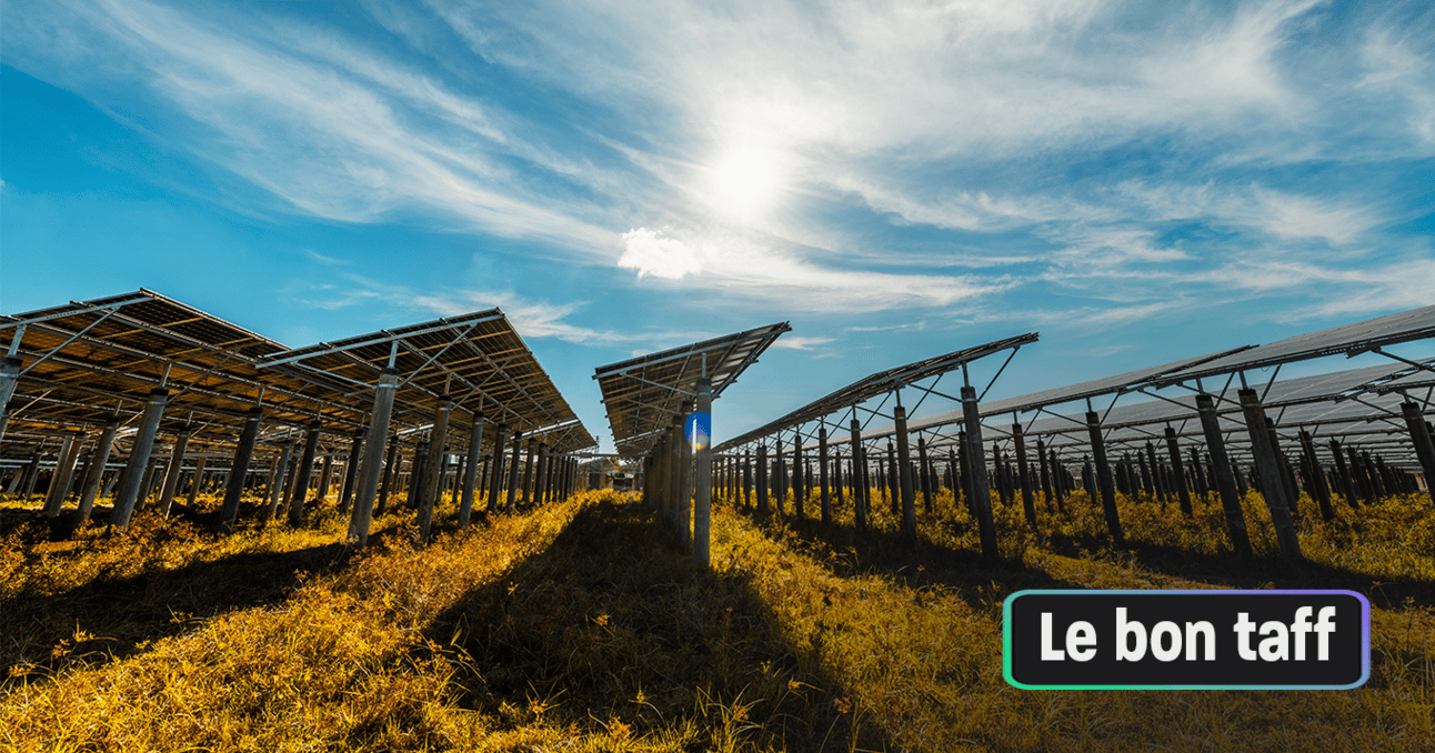 BTP, centrale solaire... Les offres d’emploi de la semaine à ne pas manquer