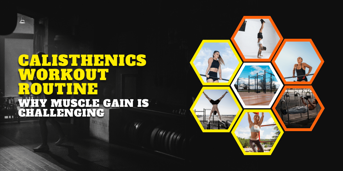 Calisthenics Workout Routine