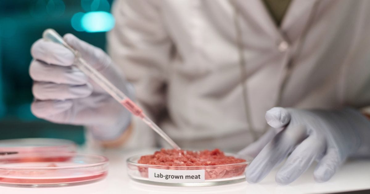 Cultured Beef Shows Different Allergen Profile Than Conventional Meat