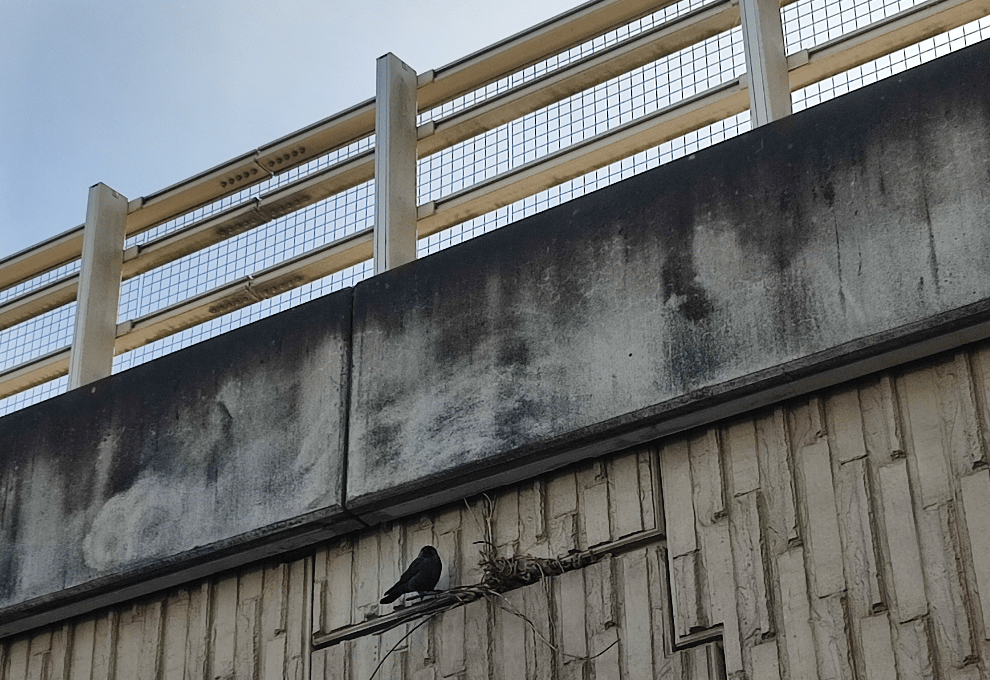 Adventuring through the Canadian Rockies