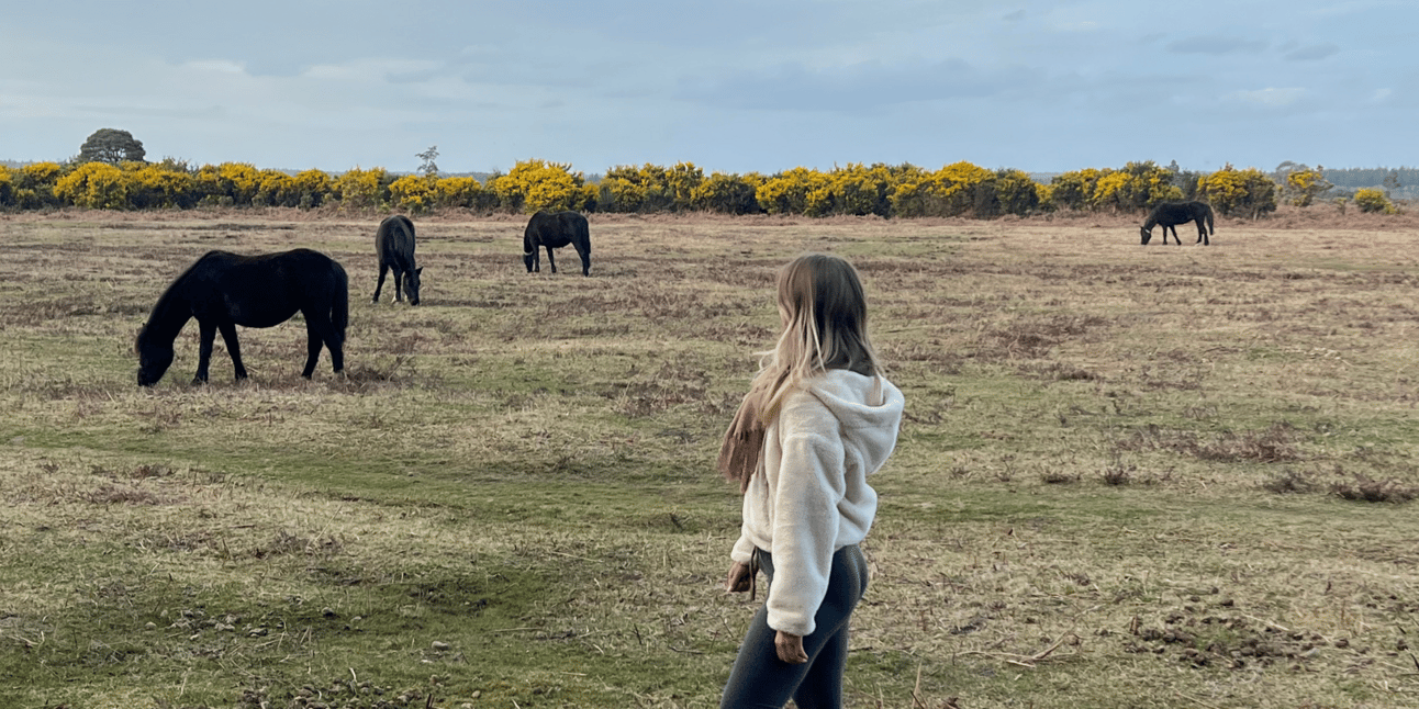 I took a phone break for the weekend, and this is what happened...