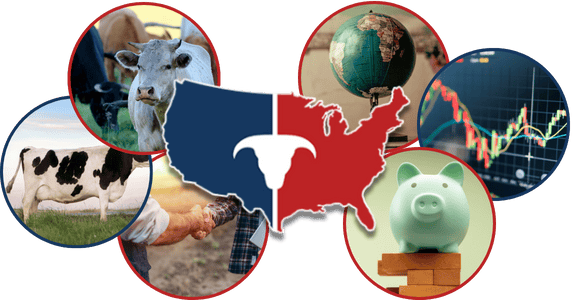 Adventuring through the Canadian Rockies