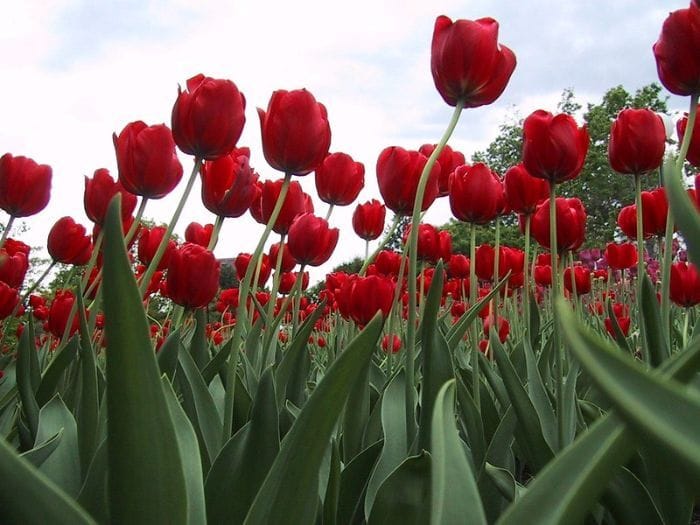 Adventuring through the Canadian Rockies