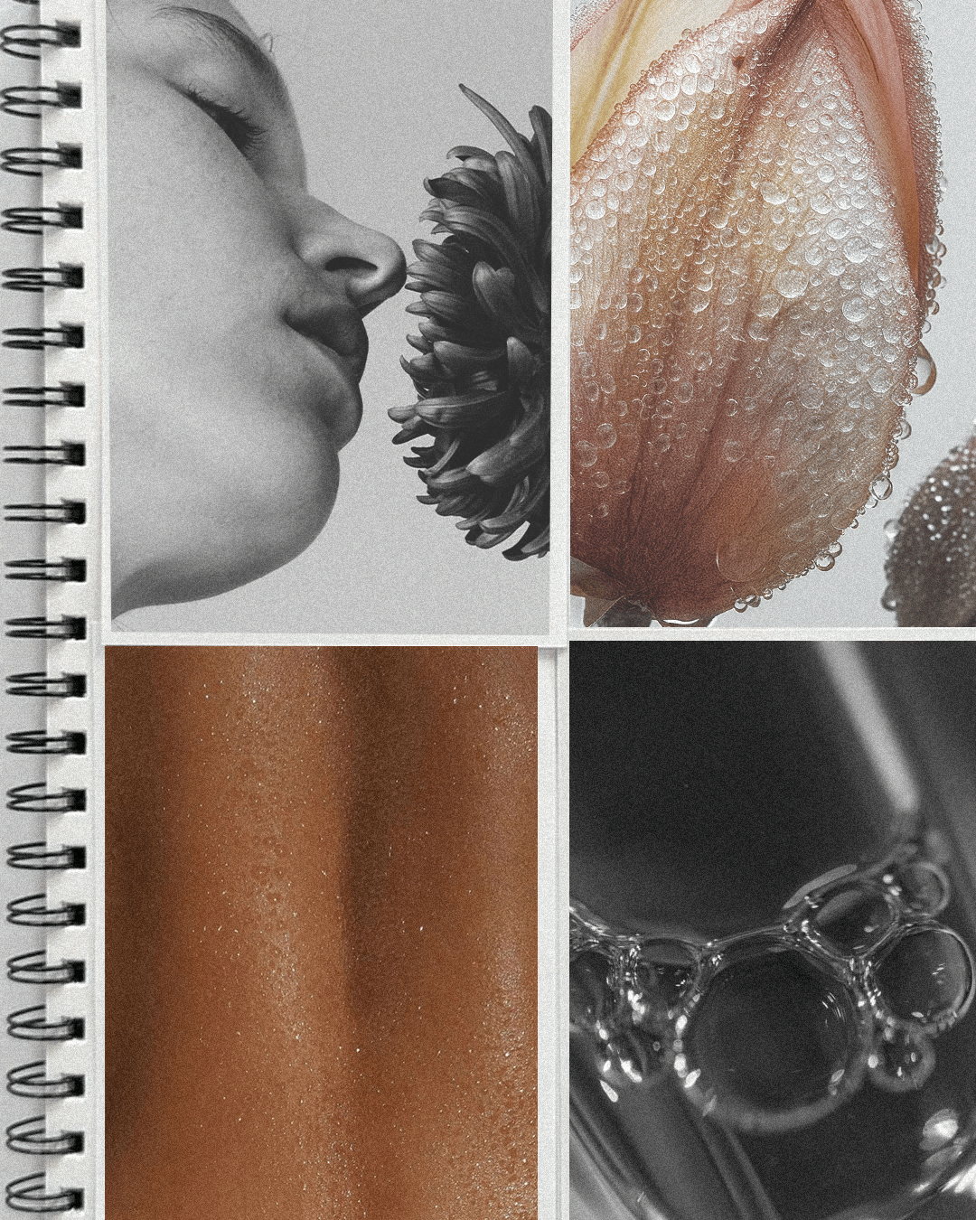 Adventuring through the Canadian Rockies