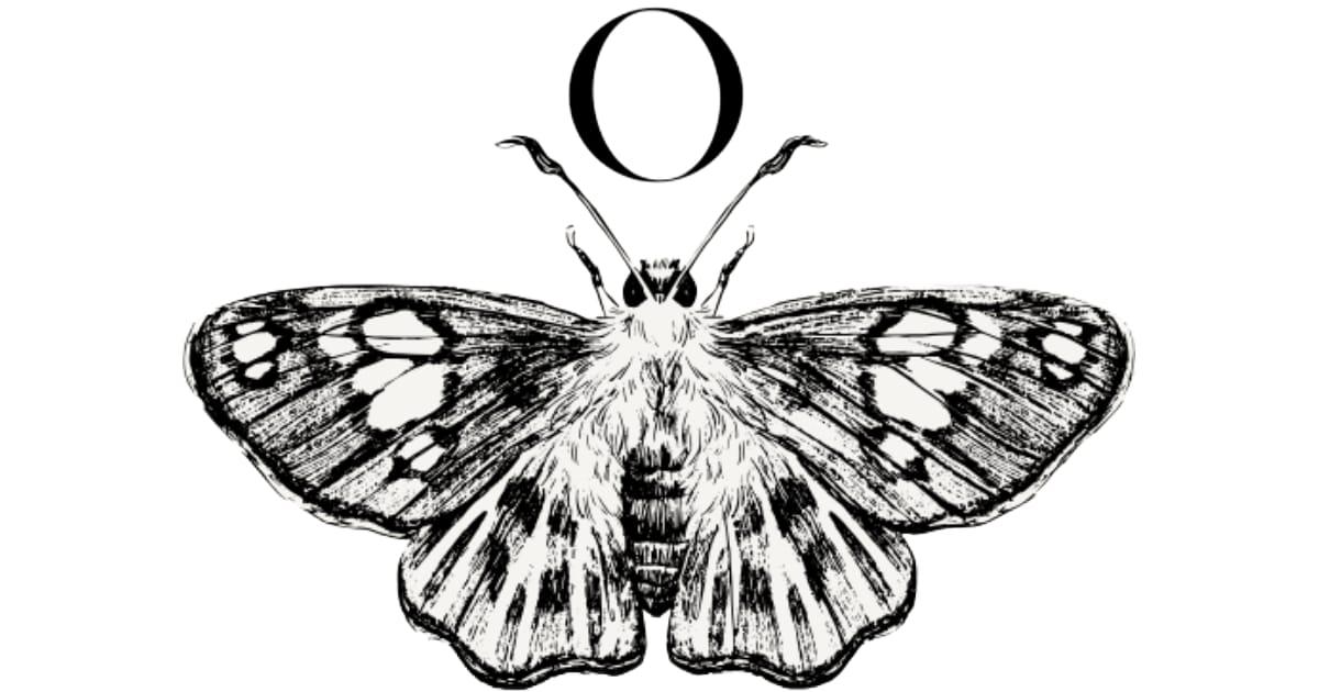 Adventuring through the Canadian Rockies