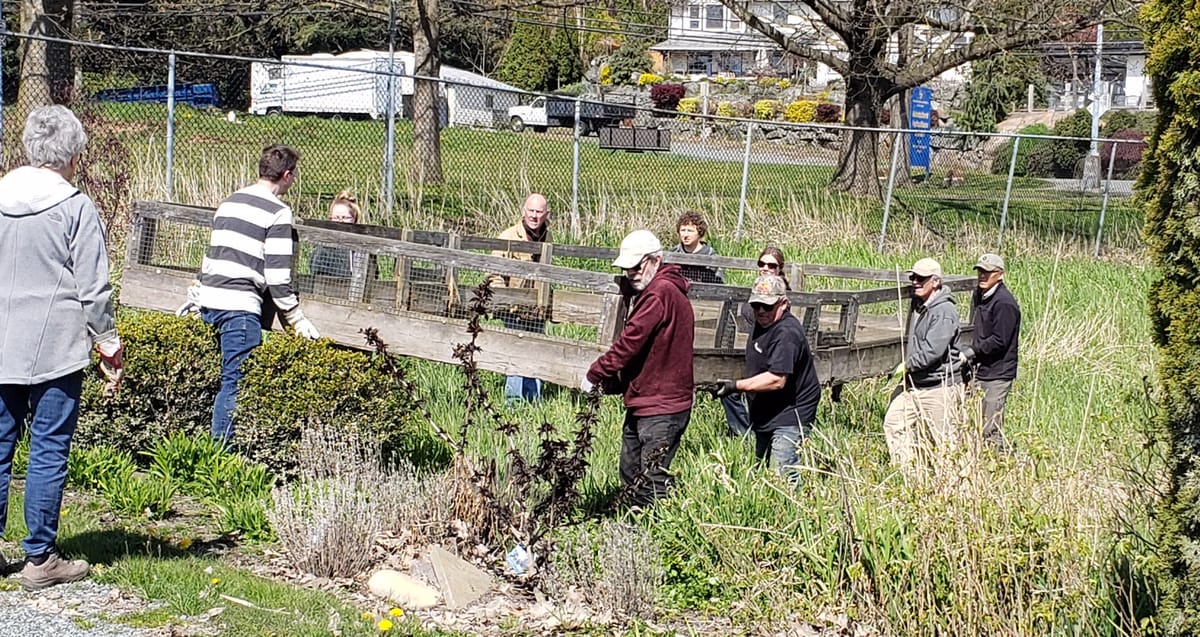 ‘Total optimism’ as Sumas Prairie’s littlest farms rebuild
