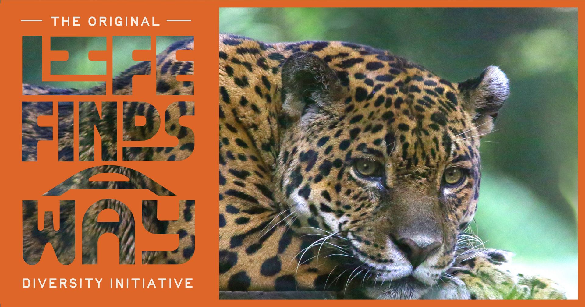  Where the wild things are walled out