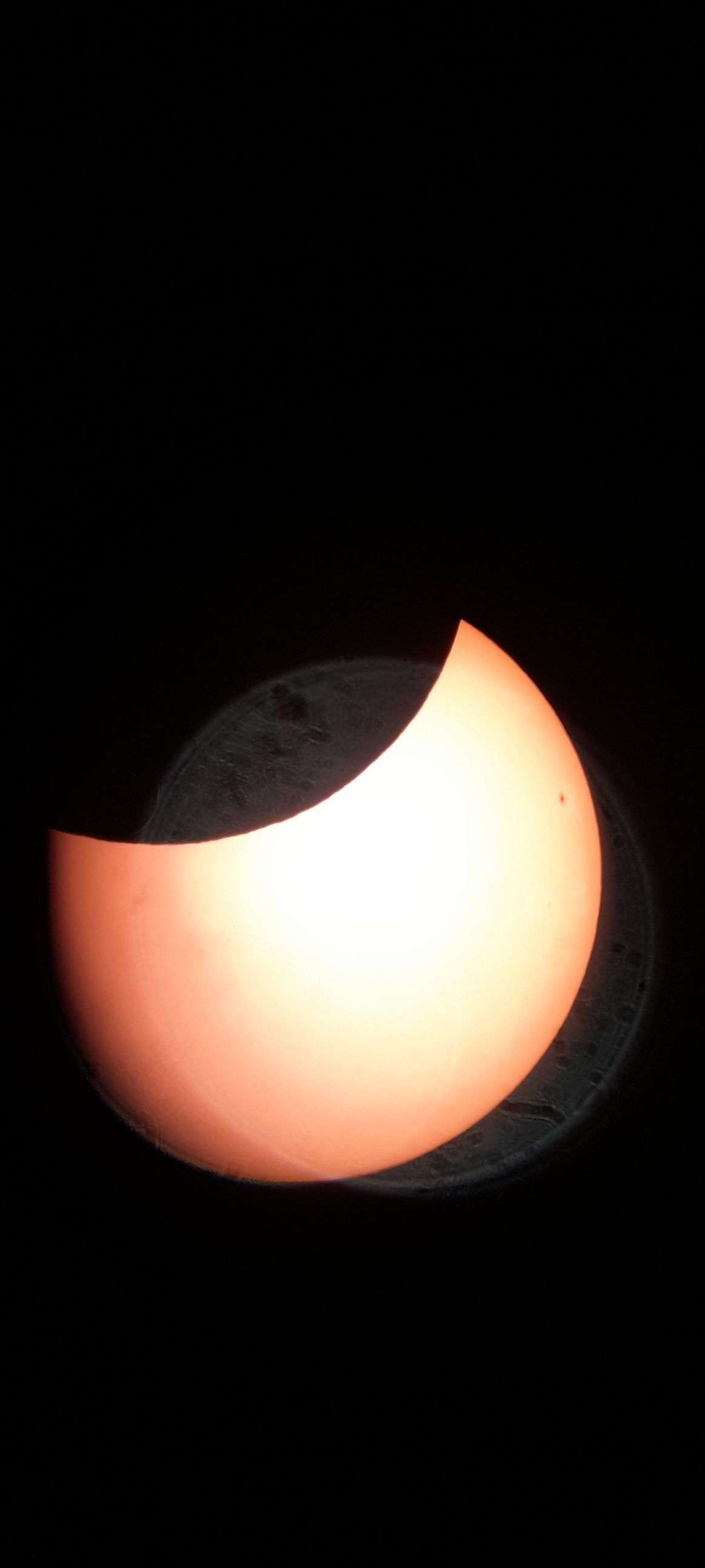 Six Science Tweets #67