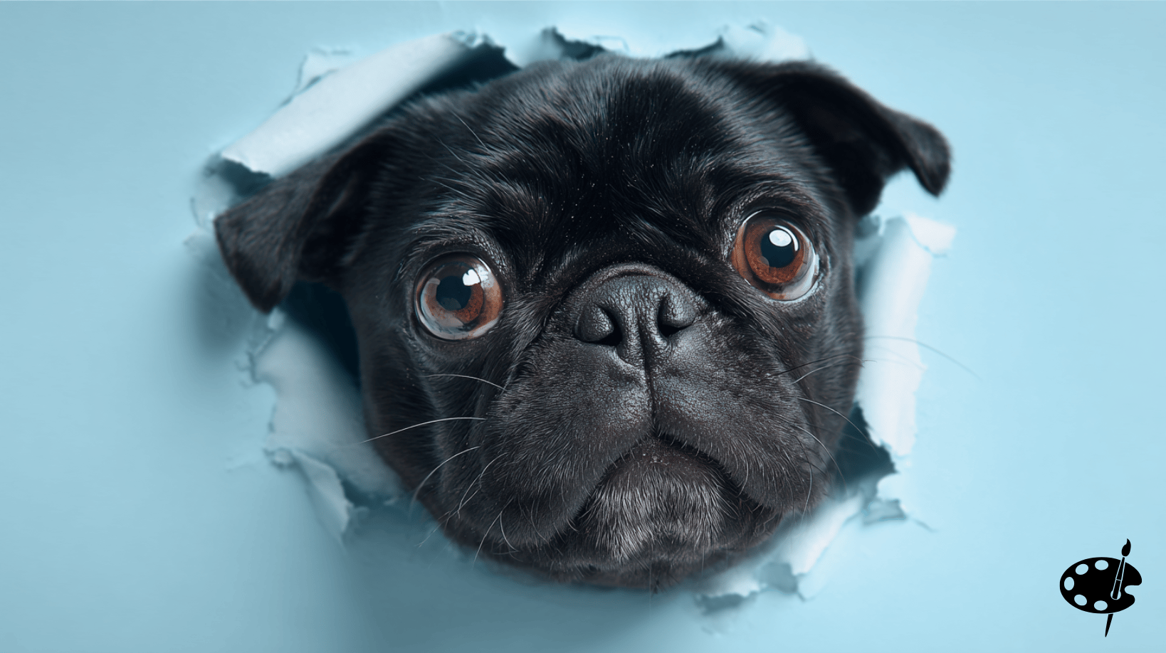 Adventuring through the Canadian Rockies