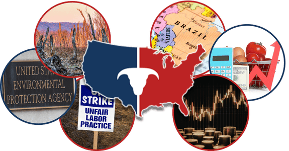 CATTLEUSA DRIVE - Wednesday, March 18th