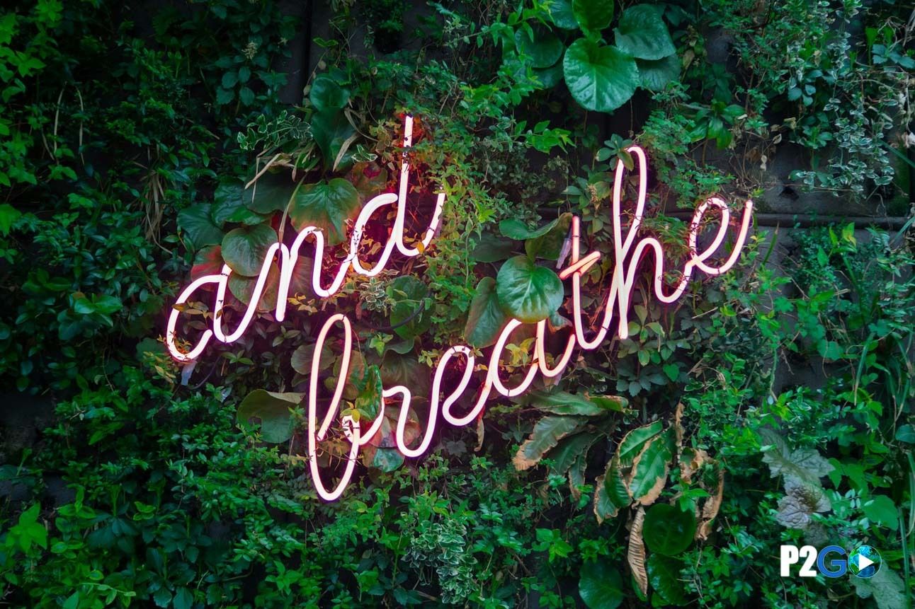 Adventuring through the Canadian Rockies