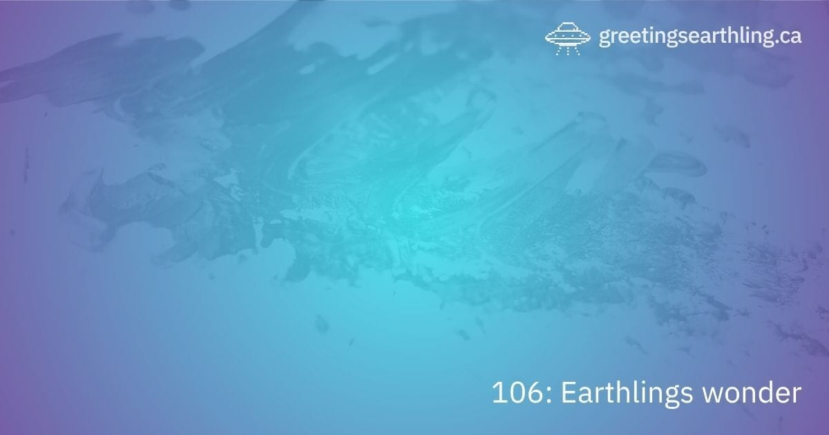 Transmission 106: Earthlings wonder