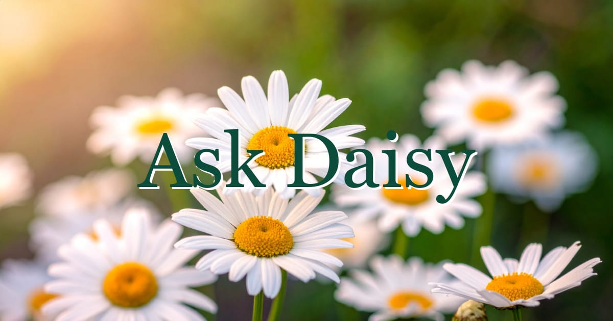 Ask Daisy