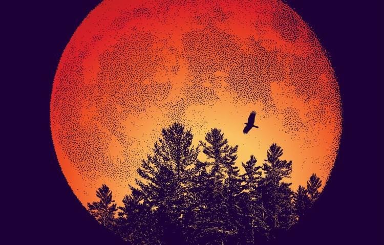 The Goose Moon 🌕️ 