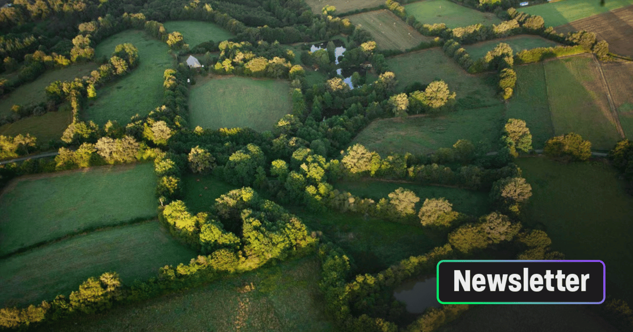 Le grand retour des haies dans nos jardins