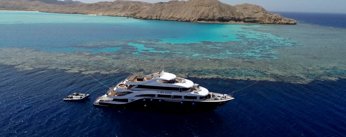 🌊 Why a Liveaboard Might Be the Best Dive Trip You’ll Ever Take