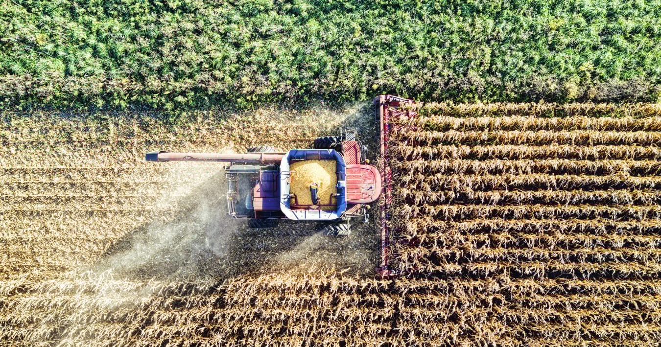Brazil’s Agribusiness Edge
