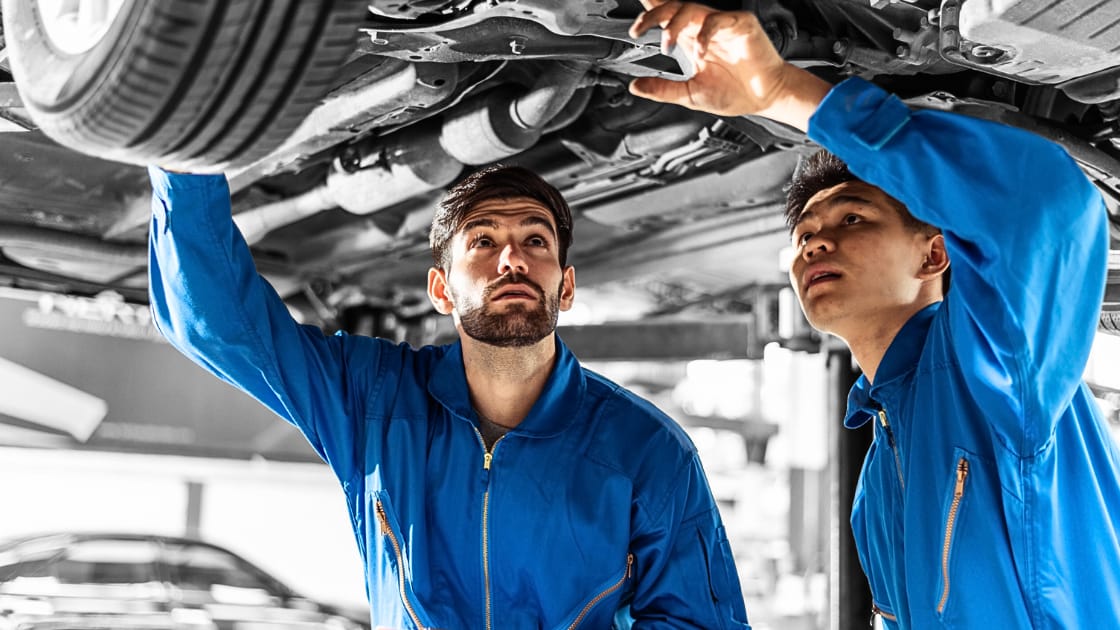 Adventuring through the Canadian Rockies