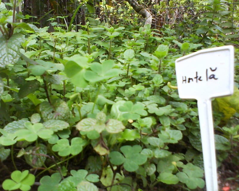 Adventuring through the Canadian Rockies