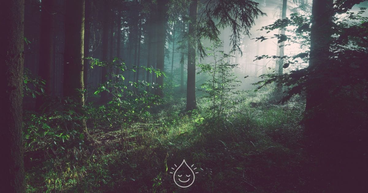 Adventuring through the Canadian Rockies