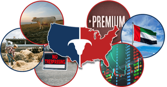 CATTLEUSA DRIVE - Wednesday, April 29th