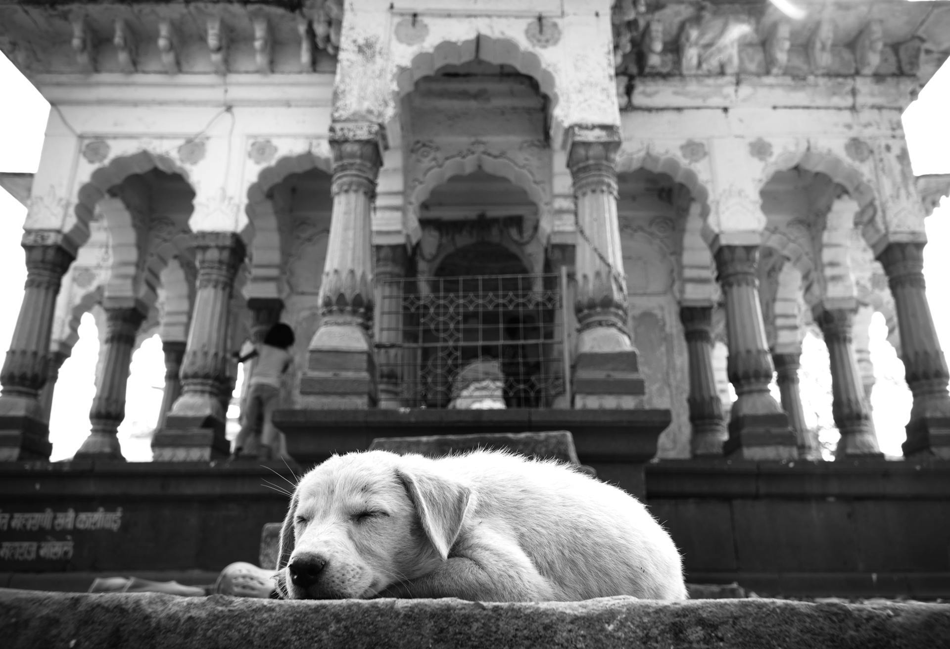 Adventuring through the Canadian Rockies