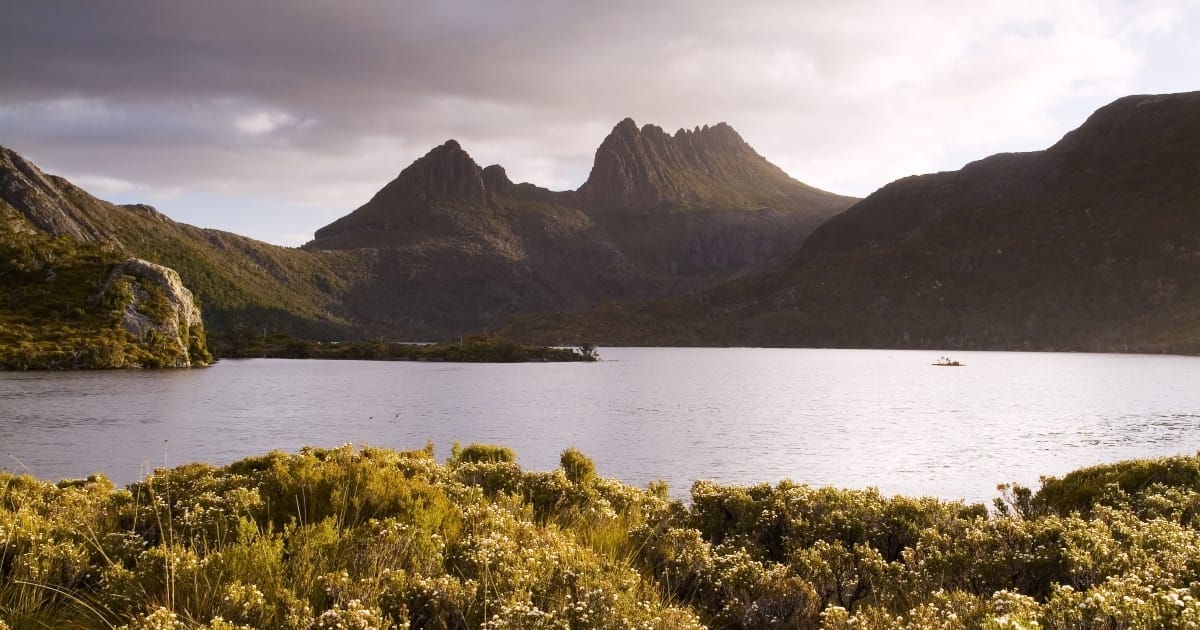The international battle for health care workers, as seen from Tasmania