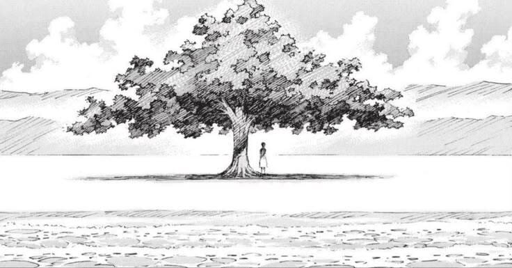 Adventuring through the Canadian Rockies