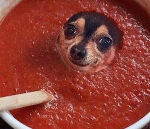 5 Sauces That Make Everything Look Way Fancier Than It Is