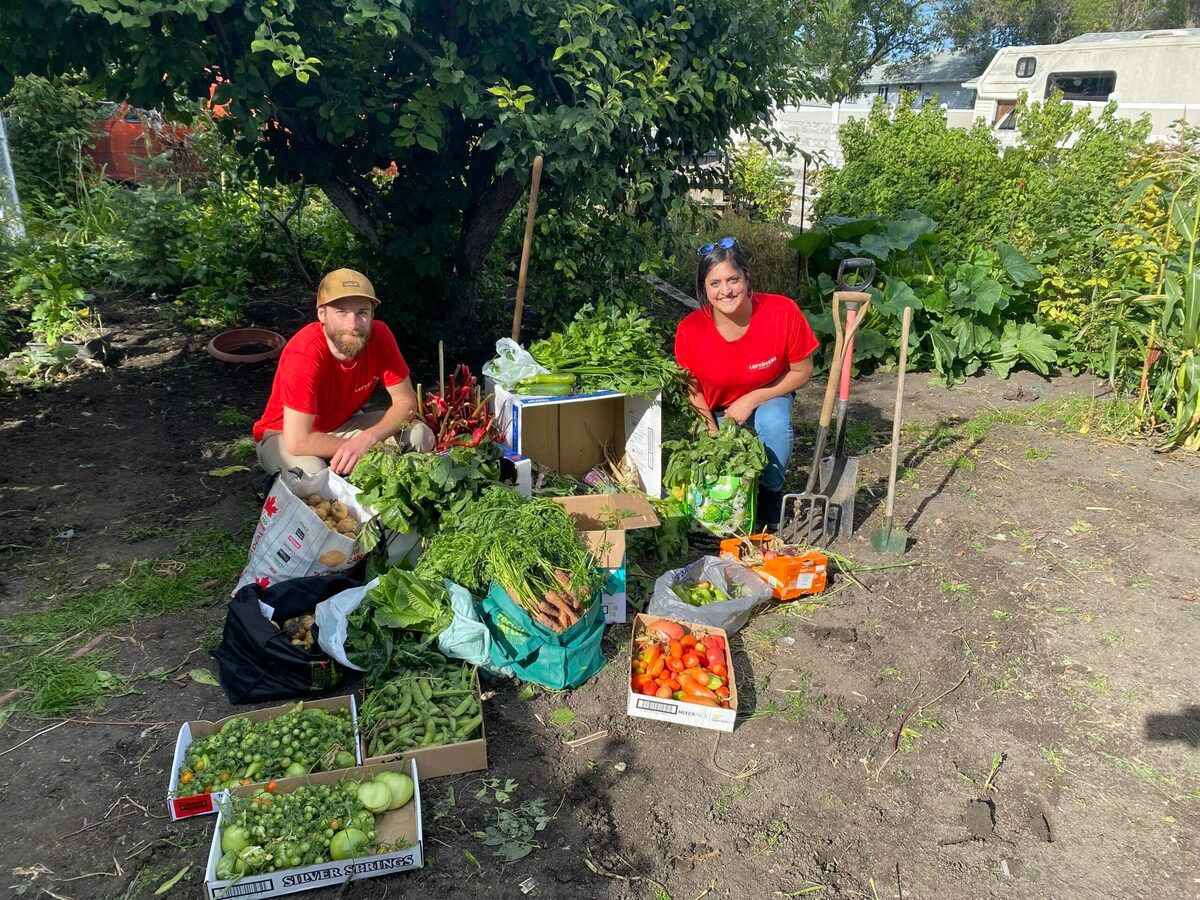 Sweet partnership turns Calgarians’ unwanted crabapples into homegrown cider