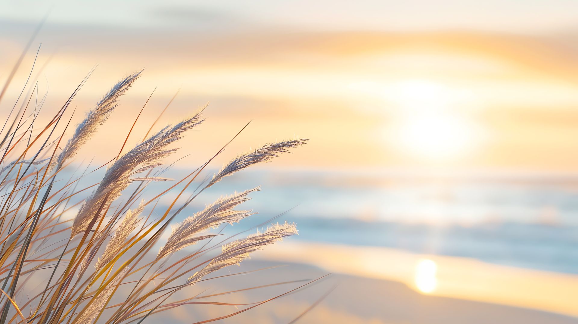 When No One Is Looking