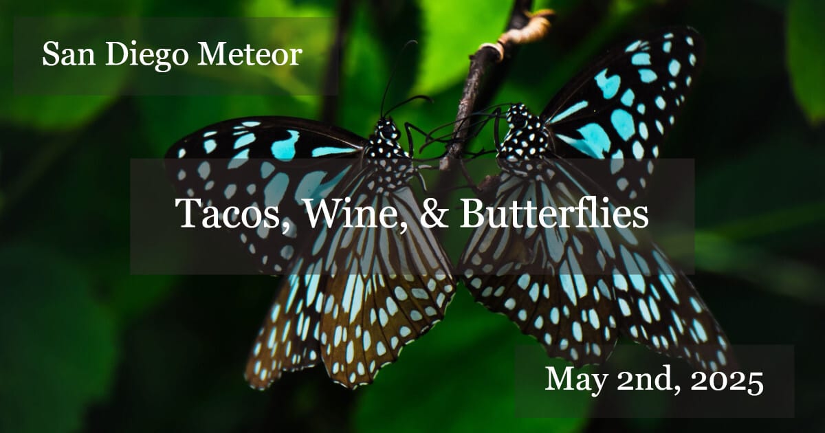 ☄️Tacos, Wine, and Butterflies