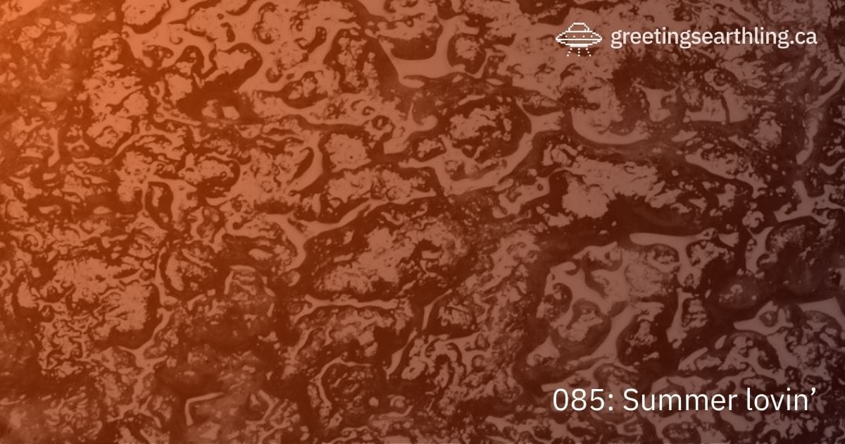 Transmission 085: Summer lovin'