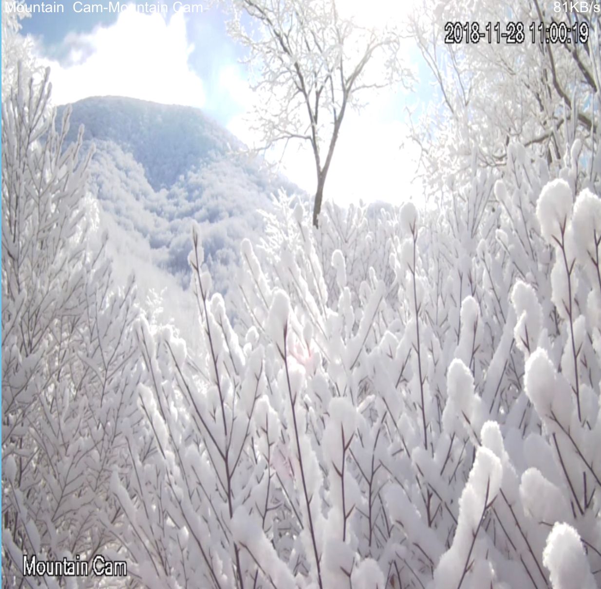 Holidays and SKI  Season  (1)